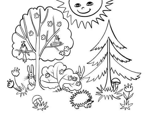 Лес раскраска для детей