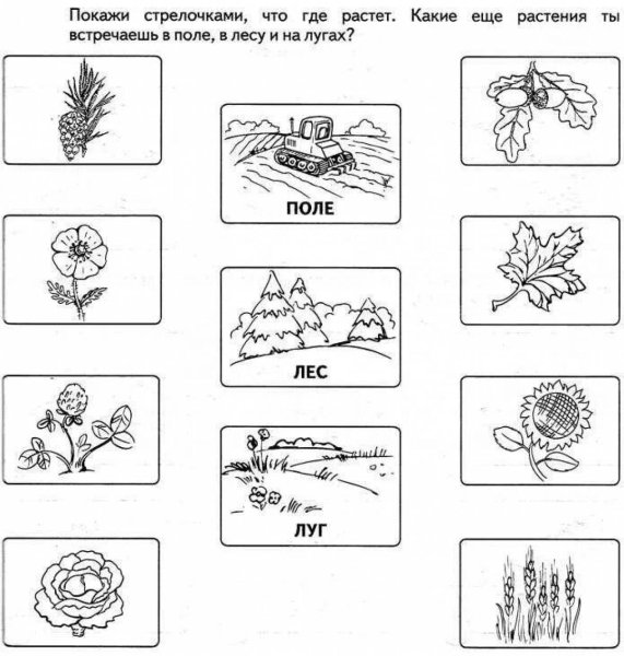 Растения задания