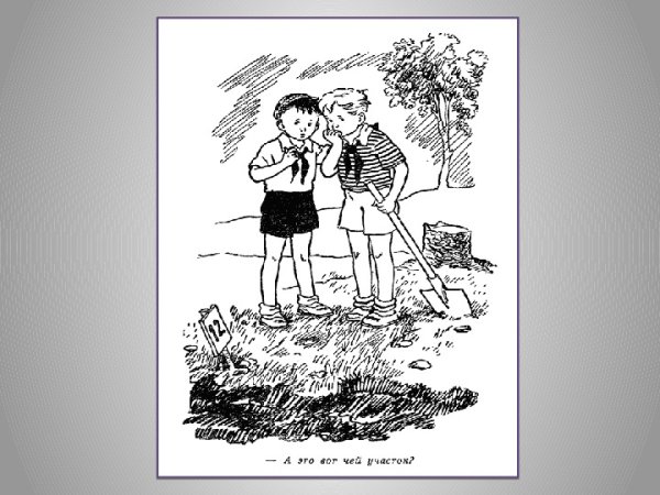 Носов огурцы раскраска