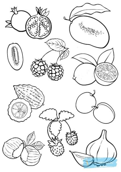 Фрукты раскраска для детей