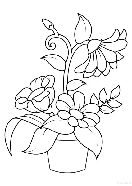Цветы. Раскраска