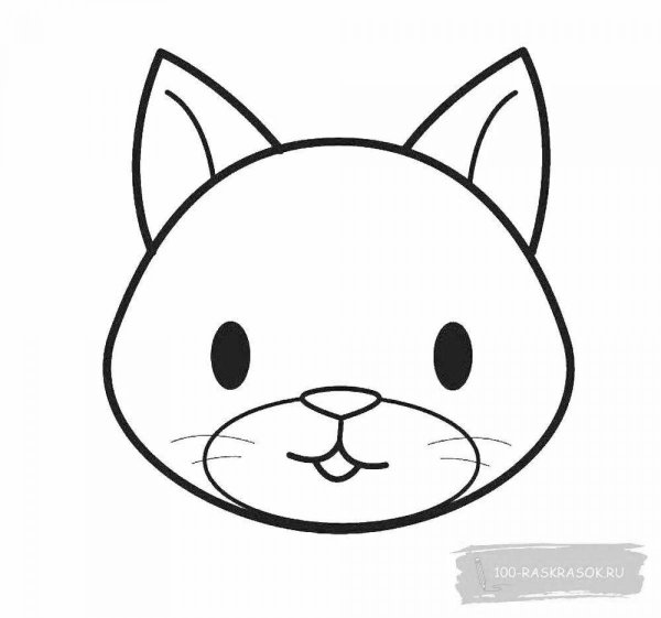 Мордочка кошки