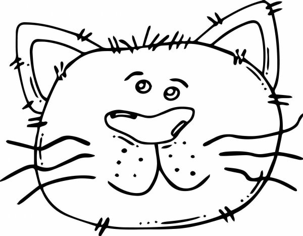 Мордочка котика раскраска