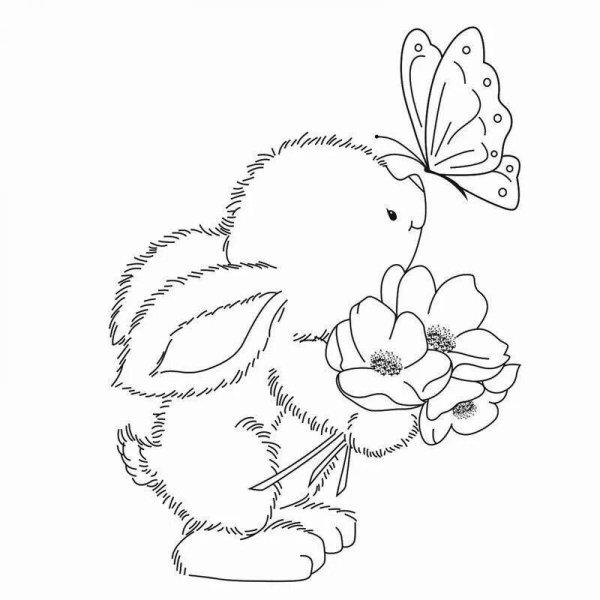 Зайчик с цветами раскраска