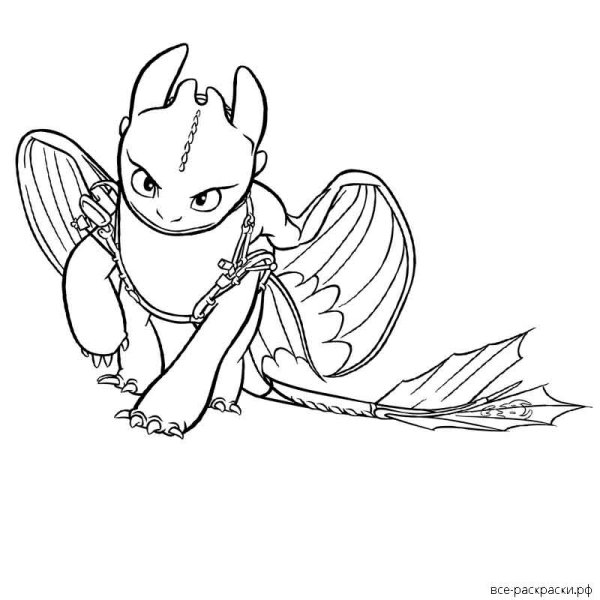 Дракон раскраска фурия и Беззубик