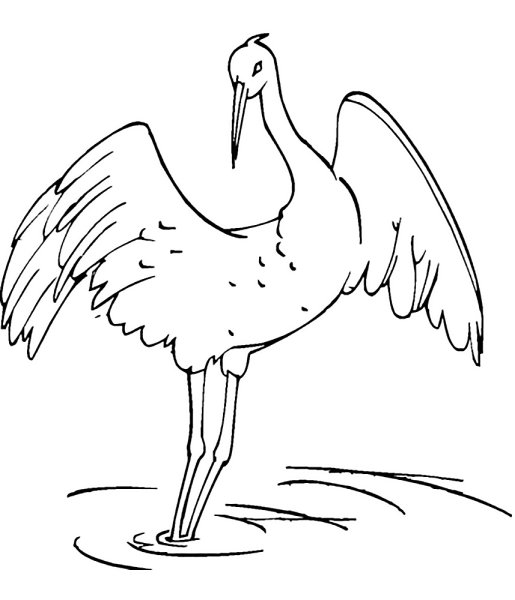 Журавль раскраска