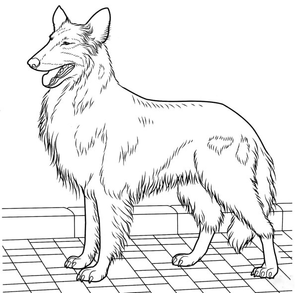 Раскраски Джо Джо Сива