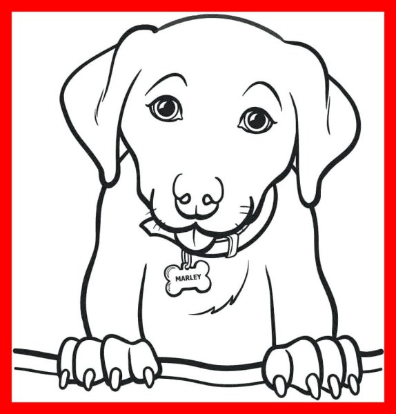 Раскраски собаки красивые