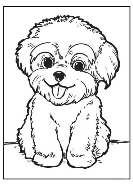 Раскраска кокер спаниель