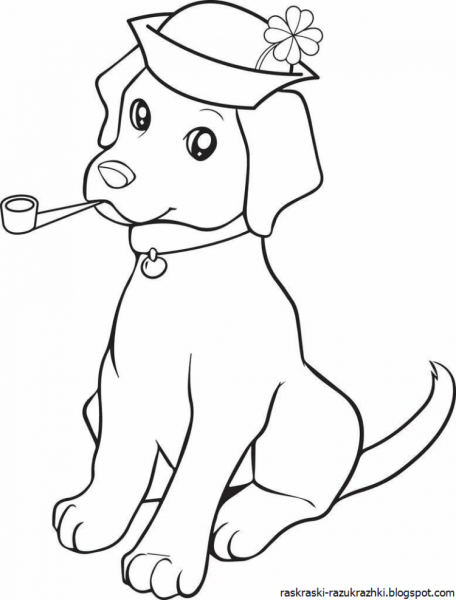 Собачки Йоркширский терьер