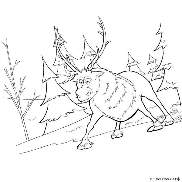 Олень на льду рисунок