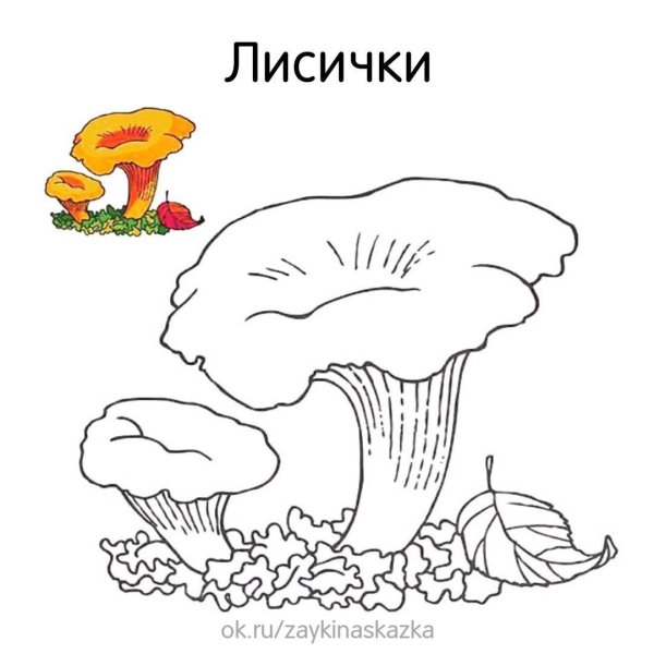 Гриб Лисичка шаблон