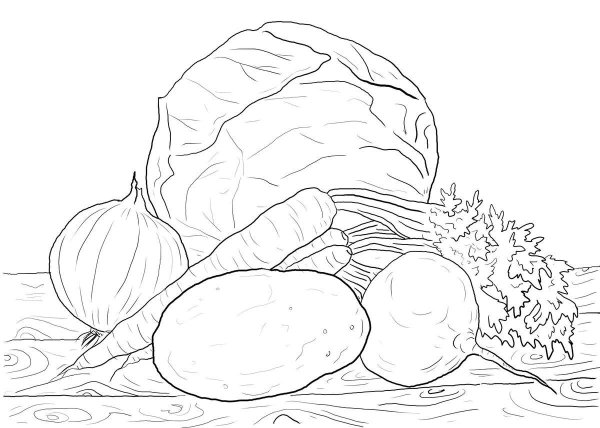 Натюрморт овощи раскраска