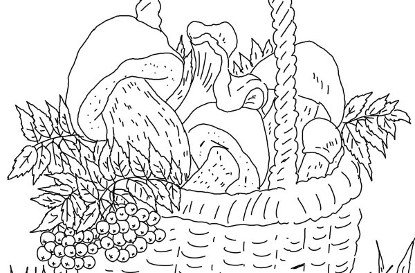 Корзина с грибами раскраска