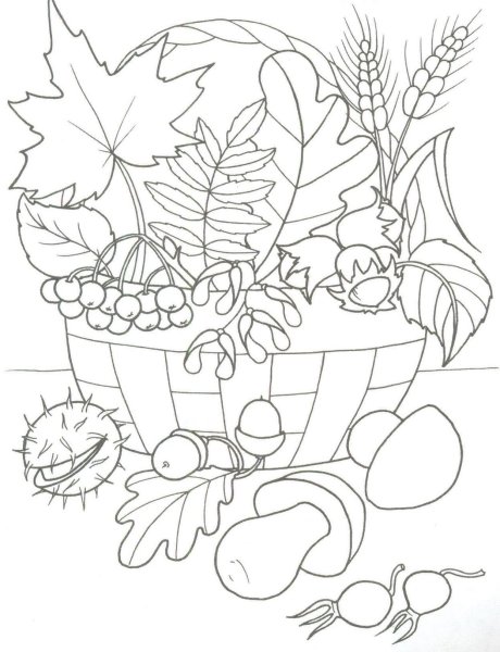 Осень раскраска для детей