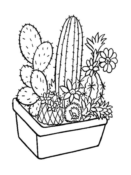 Раскраски комнатные растения для детей 4-5 лет