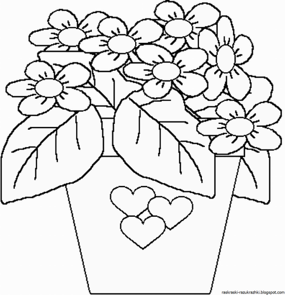 Раскраска комнатные растения для детей