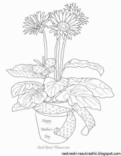 Раскраска комнатные растения в горшках