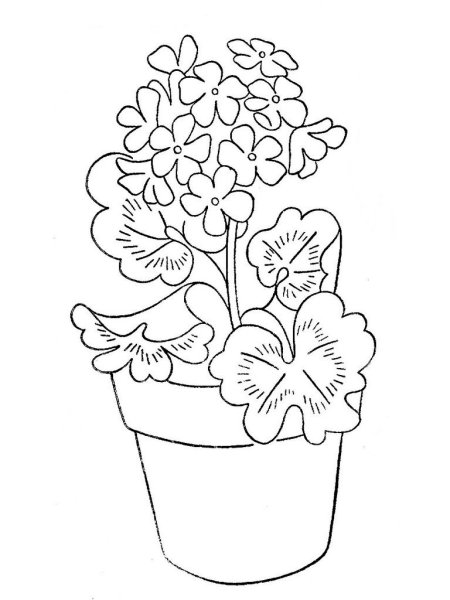 Цветок в горшке раскраска