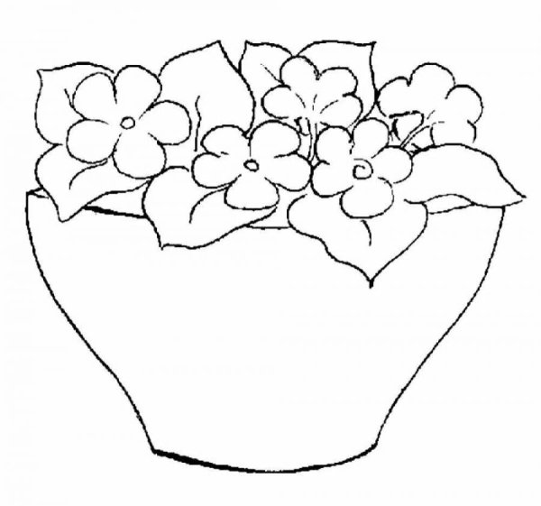 Раскраска гиацинт цветок