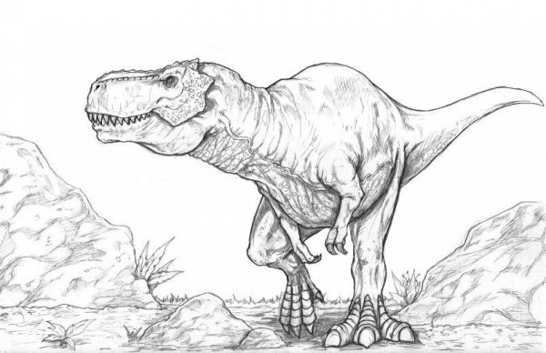 Раскраска динозавры гигантозавр