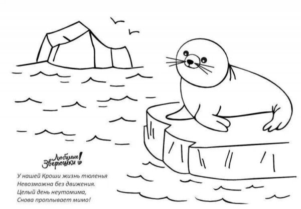 Нерпа раскраска для детей