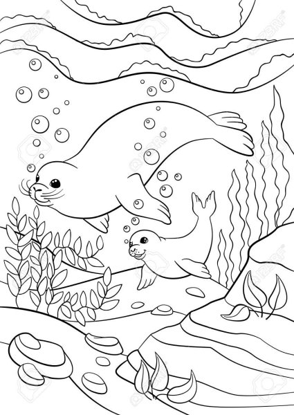 Раскраски Байкал для малышей