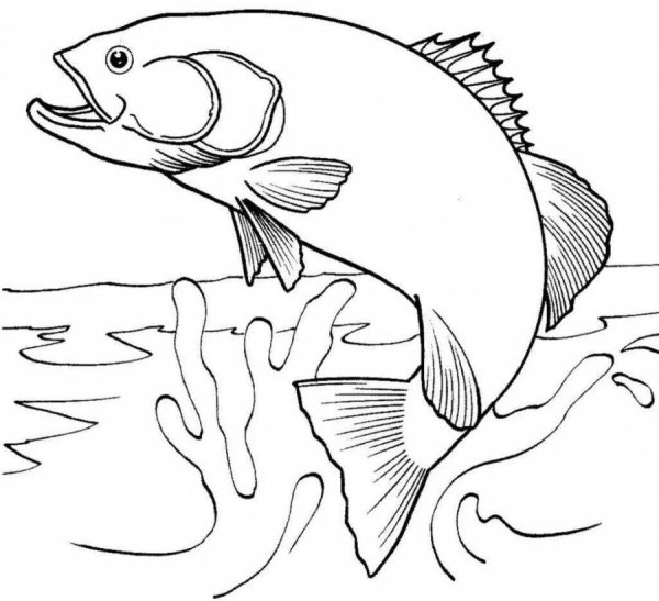 Раскраски про рыбок и рыбалку