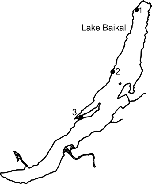 Байкал раскраска для детей