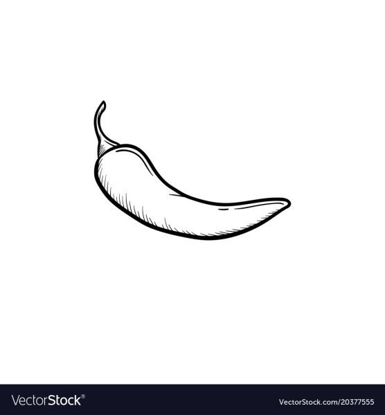 Тату перец Чили эскиз