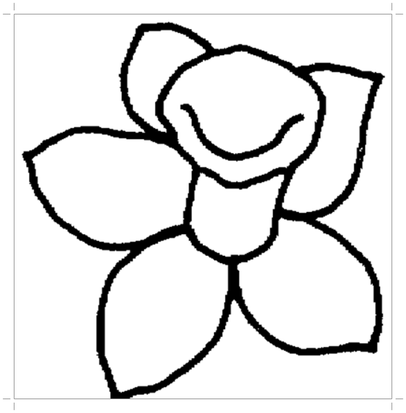 Бутоны цветов раскраска для детей