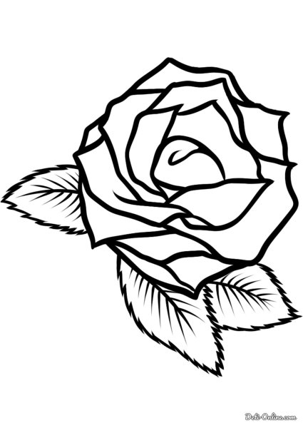 Роза раскраска для детей