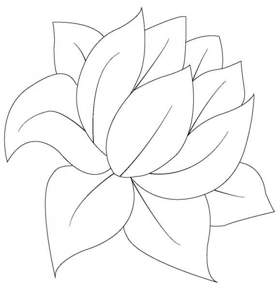 Раскраска цветок без стебля