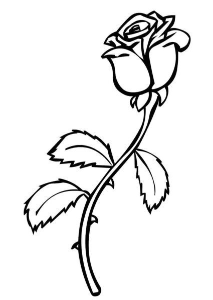 Роза раскраска для детей
