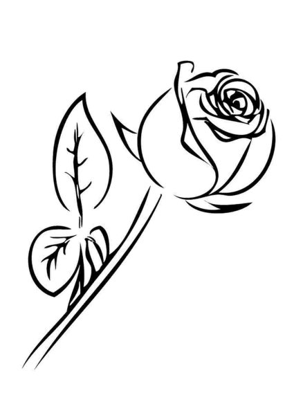 Трафарет розы для раскрашивания