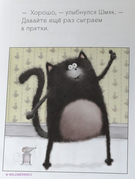 Кот Шмяк