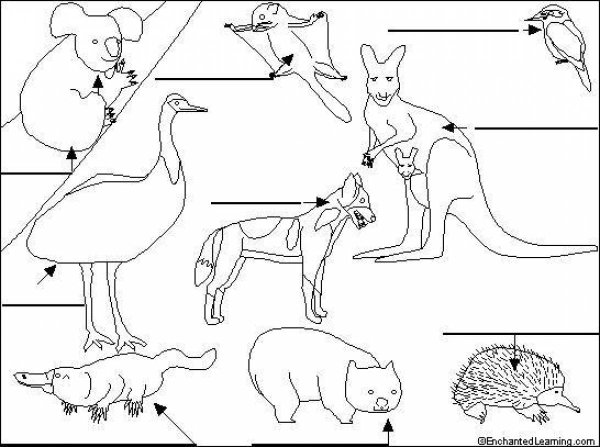 Австралия задания для дошкольников