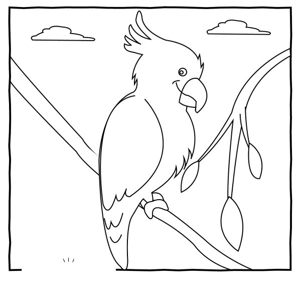 Животные Австралии раскраска