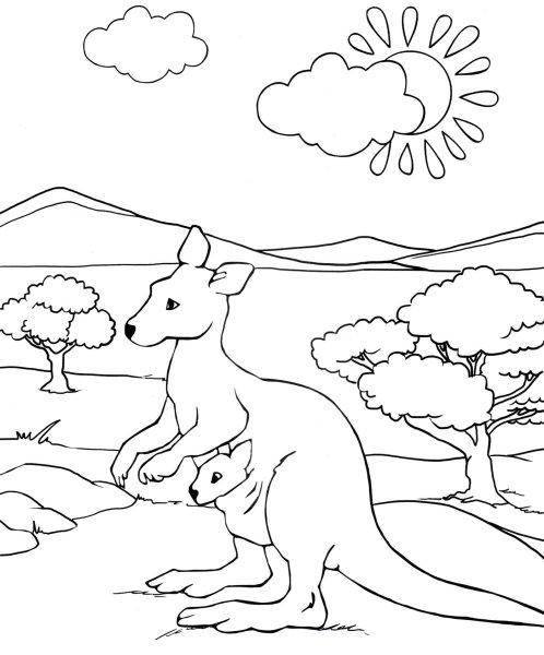 Кенгуру раскраска