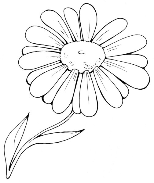 Ромашка раскраска