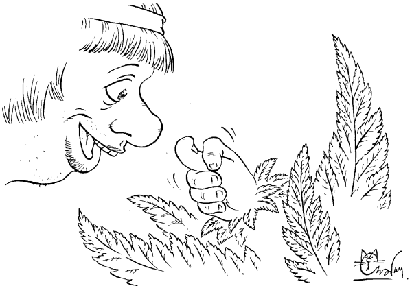 Праздник Ивана Купала раскраска