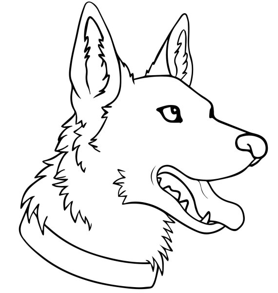 Разукрашки щенки немецкой овчарки