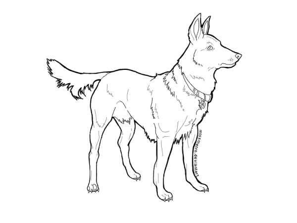 Раскраска немецкая овчарка