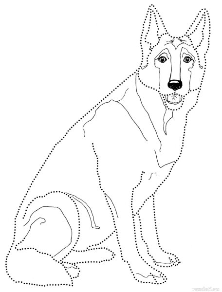 Раскраска собака овчарка