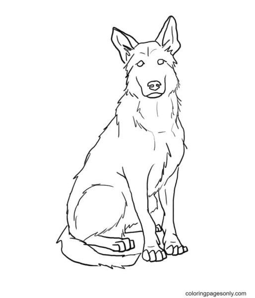 Овчарка раскраска