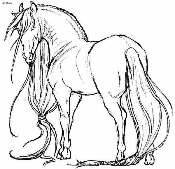 Лошадь рисунок