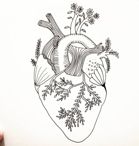 Раскраски Пинтерест