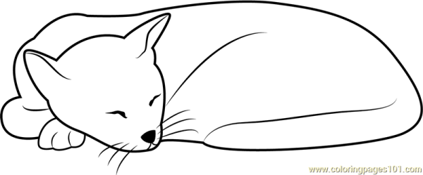 Кошка спит раскраска