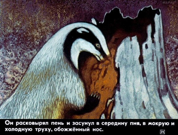 Константин Паустовский барсучий нос 1