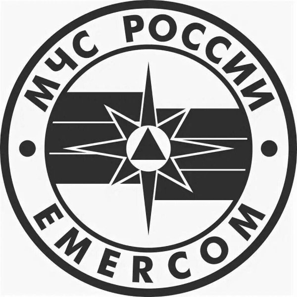 Логотип МЧС черно белый